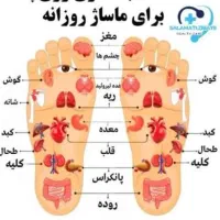 ماساژور باتجربه. اقا