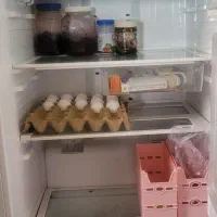 یخچال وفریزردوقلو هیمالیا|یخچال و فریزر|گلبهار, شهر جدید گلبهار|دیوار