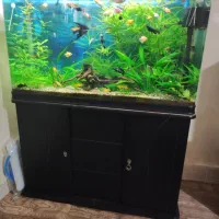 فروش اکواریوم