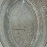 دیس پیرکس اصل فرانسه ۵ عدد