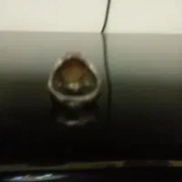 انگشتر|بدلیجات|پاکدشت, پاکدشت (مامازند)|دیوار