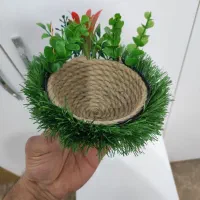 لانه سهره|لوازم جانبی حیوانات|مبارکه, |دیوار