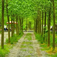 شهرکی بهشتی|فروش خانه و ویلا|تهران, جنت‌آباد جنوبی|دیوار