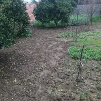 ۲۸۸ متر زمین مسکونی واقع در بهشهر روستای پاسند|فروش زمین و ملک کلنگی|بهشهر, |دیوار