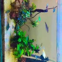 فروش اکواریوم