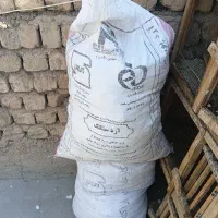 کودکفتر