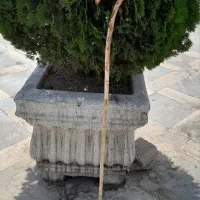 عصا.دوا|صنایع دستی و سایر لوازم تزئینی|تهران, نارمک|دیوار