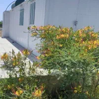 باغچه فنس کشی شده در تنکمان