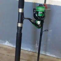 لنسر اردک ماهی|ماهیگیری|بندر انزلی, بشمن|دیوار