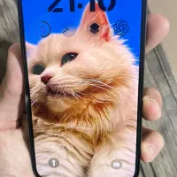 فروش آیفون ۱۳ پرومکس