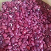 خرید و فروش حبوبات|خوردنی و آشامیدنی|تهران, حر|دیوار