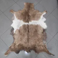 فرش پوست بز پادری|صنایع دستی و سایر لوازم تزئینی|ری, دولتآباد|دیوار