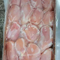 دنبه گوسفندی منجمد|خوردنی و آشامیدنی|اندیمشک, |دیوار