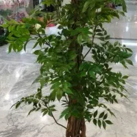 درختچه قیمت عمده|گل مصنوعی|اهواز, زیتون کارمندی|دیوار