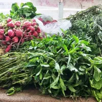 فروشندگی انواع سبزی