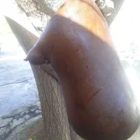 هیزه|ظروف نگهدارنده، پلاستیکی، یکبارمصرف|کرمانشاه, |دیوار