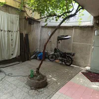 شکوفه/عارف خانه ویلایی دربستی دوطبقه خوش نقشه|اجارهٔ خانه و ویلا|تهران, مینای جنوبی|دیوار