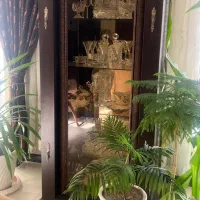 بوفه درحد با متریال و شیشه عالی دودی|بوفه، ویترین، کنسول|شیراز, شهرک آرین|دیوار