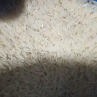 برنج طارم هاشمی کشت اول و دوم