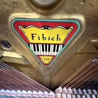 پیانو آکوستیک برند Fibich|پیانو، کیبورد، آکاردئون|مشهد, احمدآباد|دیوار
