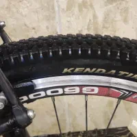 دوچرخه کوهستان ۲۸ ویوا اصل تایوان|دوچرخه، اسکیت، اسکوتر|تهران, جنتآباد شمالی|دیوار