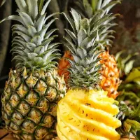 استخدام نیرو در آبمیوه و بستنی (با جای خواب و غذا)|استخدام خدمات فروشگاه و رستوران|تهران, بلوار کشاورز|دیوار
