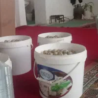 فروش تخم بلدرچین فقط عمده