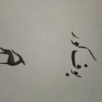 مجموعه ۱۸ جلدی از صادق هدایت. چاپ اصل|کتاب و مجله تاریخی|قائمشهر, |دیوار