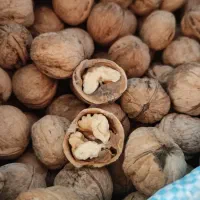 فروش یک تن گردوی محلی درجه یک