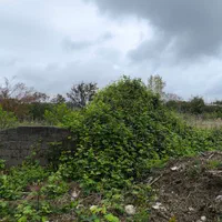 فروش یا مشارکت با۲۵۰۰متر جواز ساخت