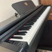 پیانو دیجیتال برگمولر آلمان|پیانو، کیبورد، آکاردئون|شیراز, شهرک ایثار|دیوار
