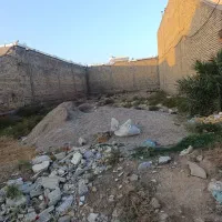 زمین کوی نخلستان شکاره