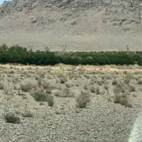 زمین کشاورزی سند دار گورت