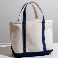 همکاری با چرخ کار کیسه و بگ دستی