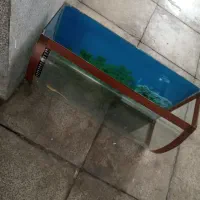 آکواریوم شیشه ای