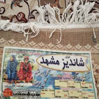 2عددفرش 12متری 500شانه