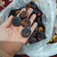 دختر روستایی|عمده‌فروشی|طارم, |دیوار