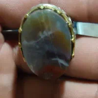 انگشتر نقره با شجر جلبکی