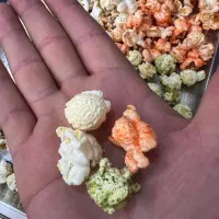 ذرت امریکایی/ذرت توپی/پاپ کرن/ادویه پاپکرن/شب یلدا|خوردنی و آشامیدنی|قائم‌شهر, |دیوار