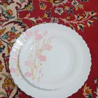 سرویس ارکوپال ۲۵ پارچه