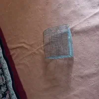 سبد مرغ عشق