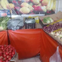 پالت میوه فروشی|حراج|کرج, فاز ۳ گوهردشت|دیوار