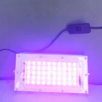 چراغ پروژکتور مخصوص رشد گل و گیاه|گل و گیاه طبیعی|دوگنبدان, |دیوار