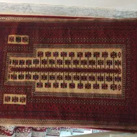 فرش دست باف خانه گی|فرش|تربت‌حیدریه, بی بی حسنیه|دیوار