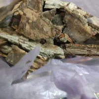 چوب درخت گردو|کلکسیون و سرگرمی|هرسین, |دیوار