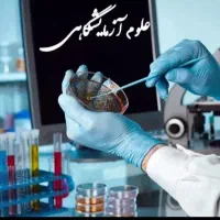 جابجایی دانشجو بیرجند با مشهد رشته علوم آزمایشگاهی