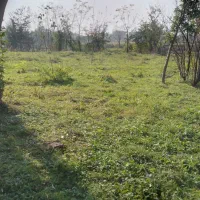 زمین-مسکونی-4هزارمترسراوان-قاضیان