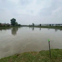 ماهی گیری تفریحی