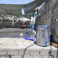 قالیشویی