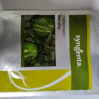 فروش انواع بذر